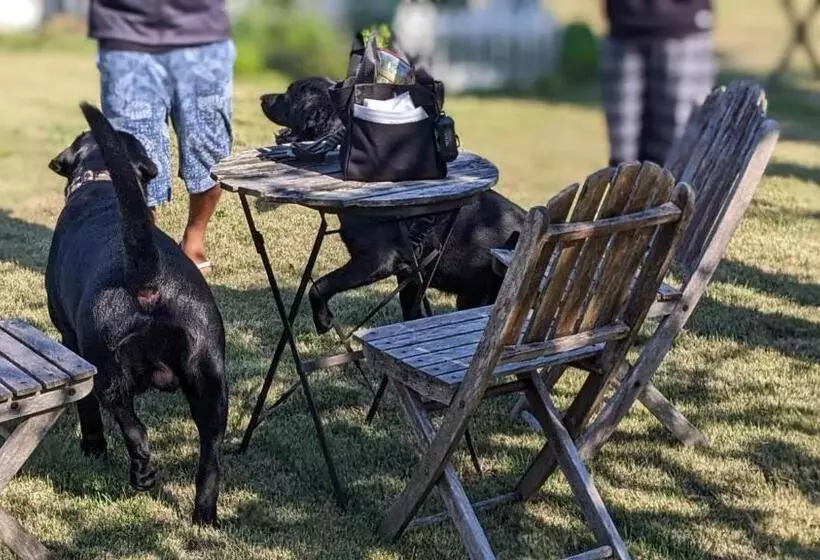 Hotelli Pension Alba   Vacation Stay 70925v