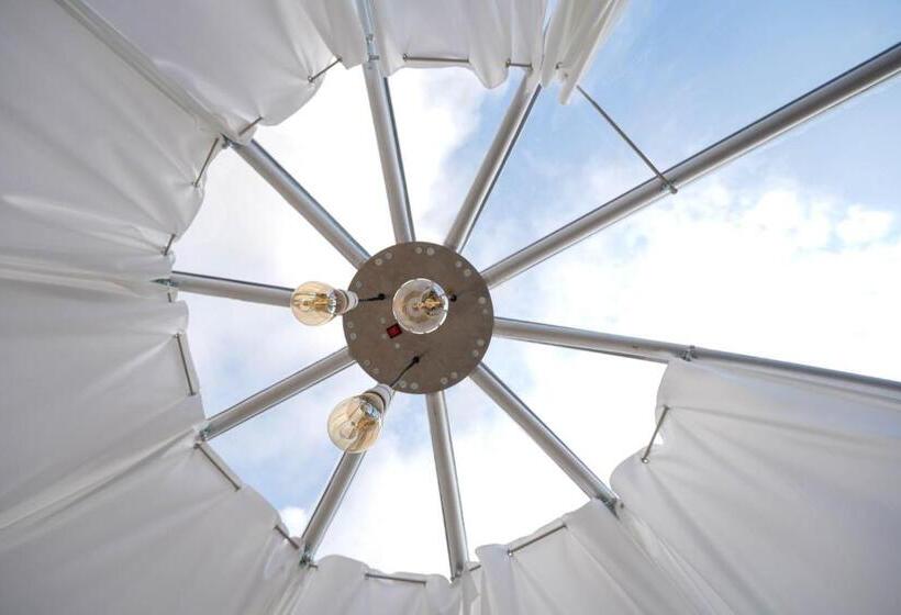 Piedigrotta B&b Luxury