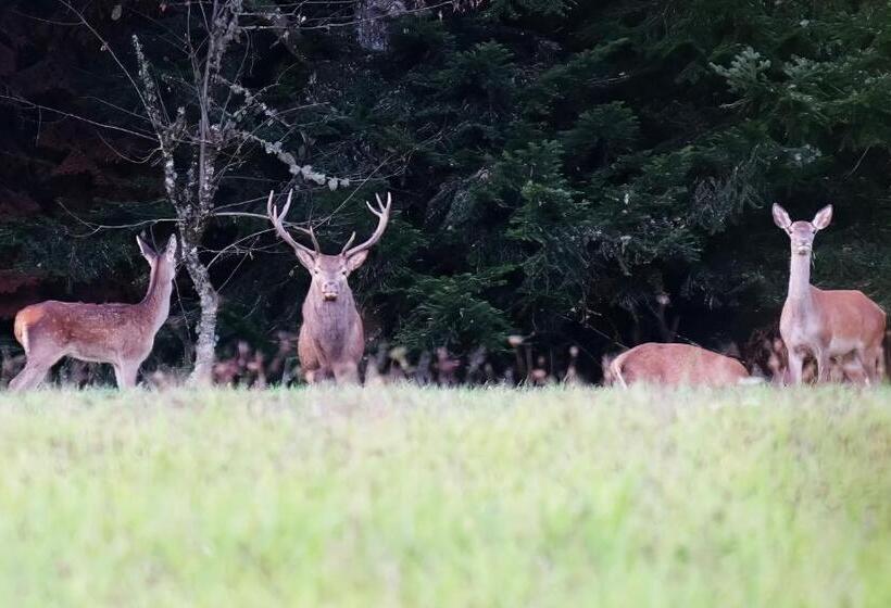 住宿加早餐 Les Jardins De Nanine