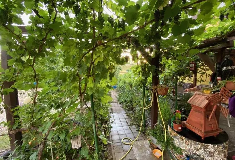 ペンション Penzión U Aďky