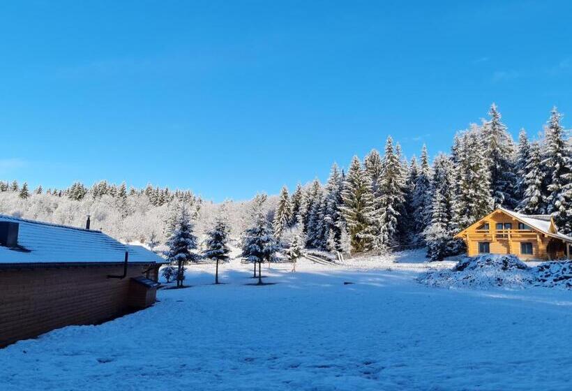 渡假胜地  Harghita Log Houses