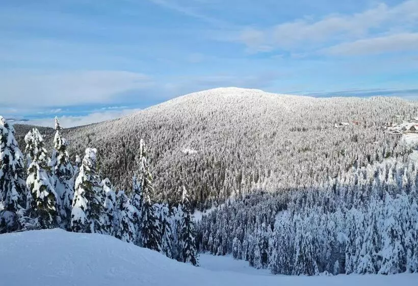 Lomakeskus Harghita Log Houses