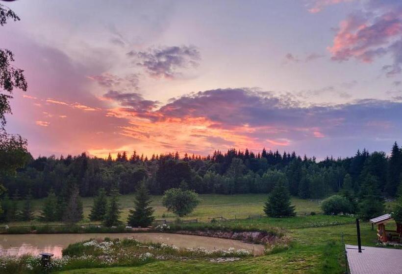渡假胜地  Harghita Log Houses