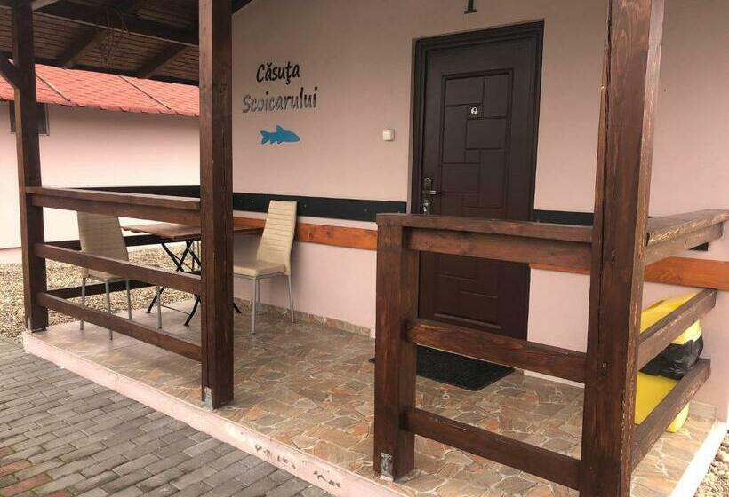 渡假胜地  Complex Agrement Bellavi