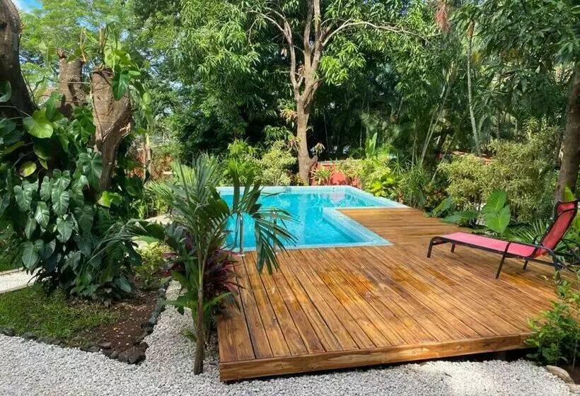 Majatalo Casa Mapache