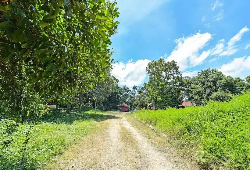 Hotelli Oyo 90640 D Village River & Cafe Chalet