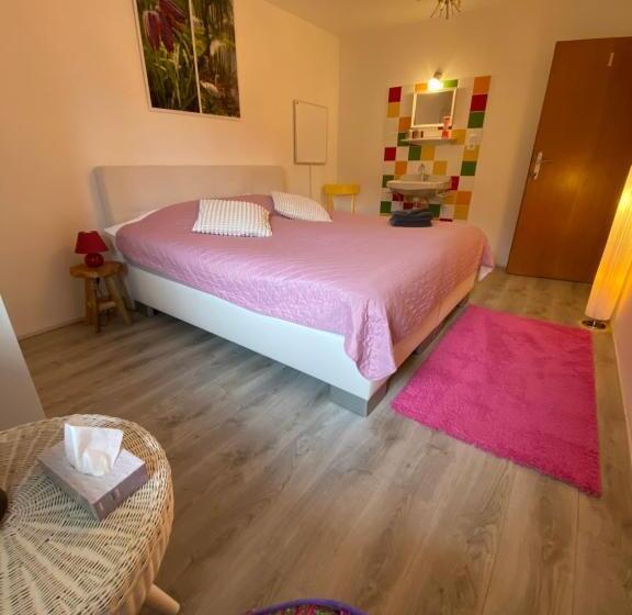 膳宿费 Gästehaus Schmitt