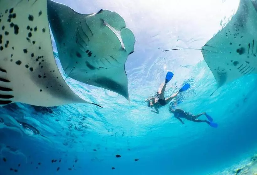 هتل Casaparadiso   Beach View