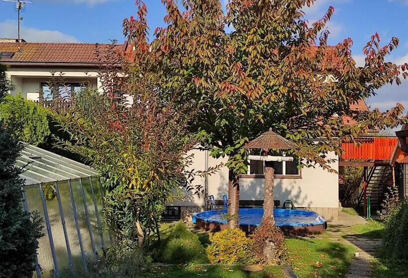 פנסיון Penzion Petra