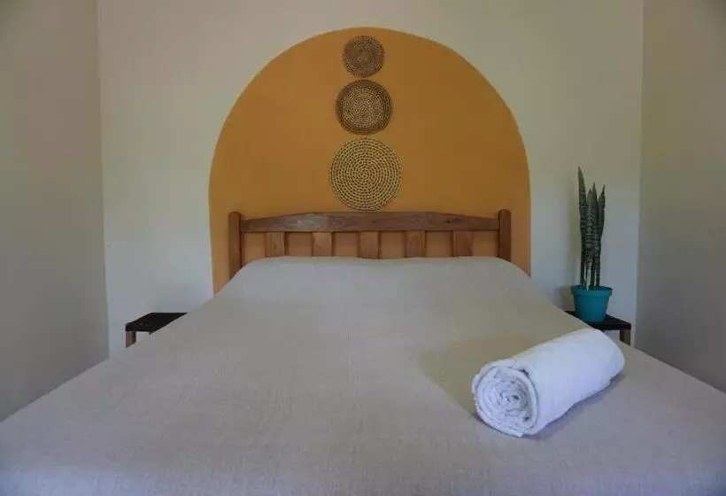 ユースホステル Casa Das Irmãs   Só Mulheres   Women Only