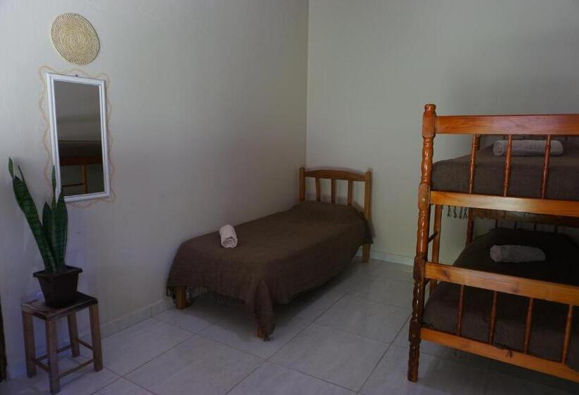 ユースホステル Casa Das Irmãs Só Mulheres Women Only