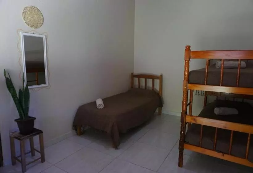 ユースホステル Casa Das Irmãs   Só Mulheres   Women Only