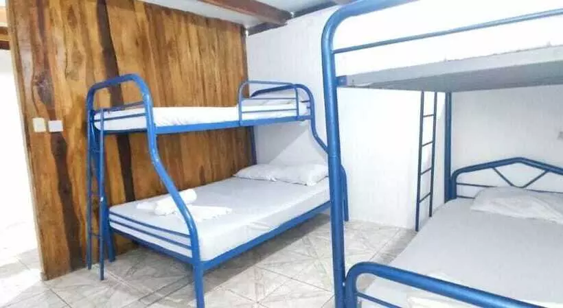 Blue Bike Hostel