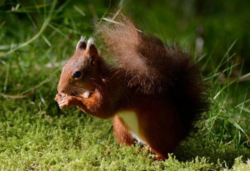 مبيت وإفطار Thorney Mire Barn
