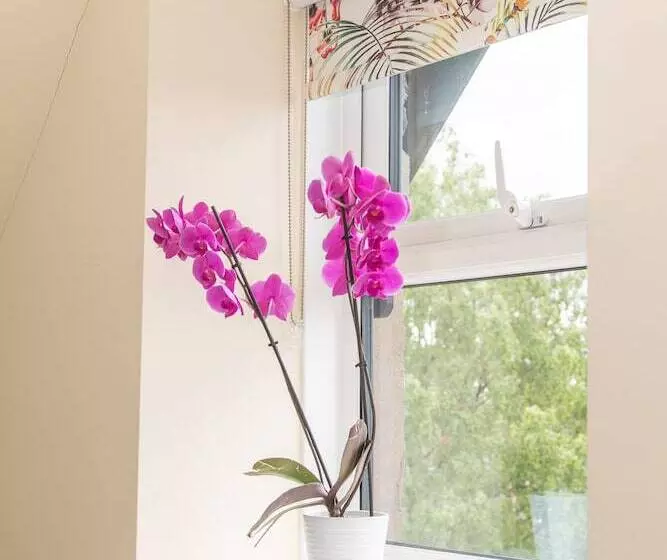 هتل Beaumont Guest House Free Off Site Health Club Adults Only