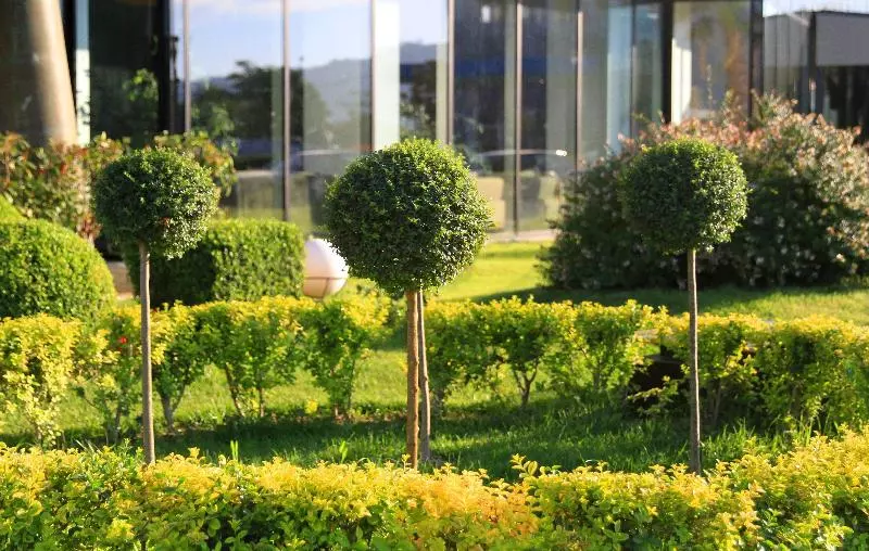 فندق Best Western Premier Ark