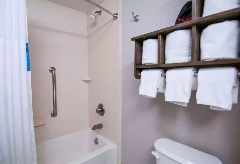 Отель Hampton Inn Hernando