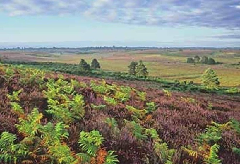 فندق Mount Stuart