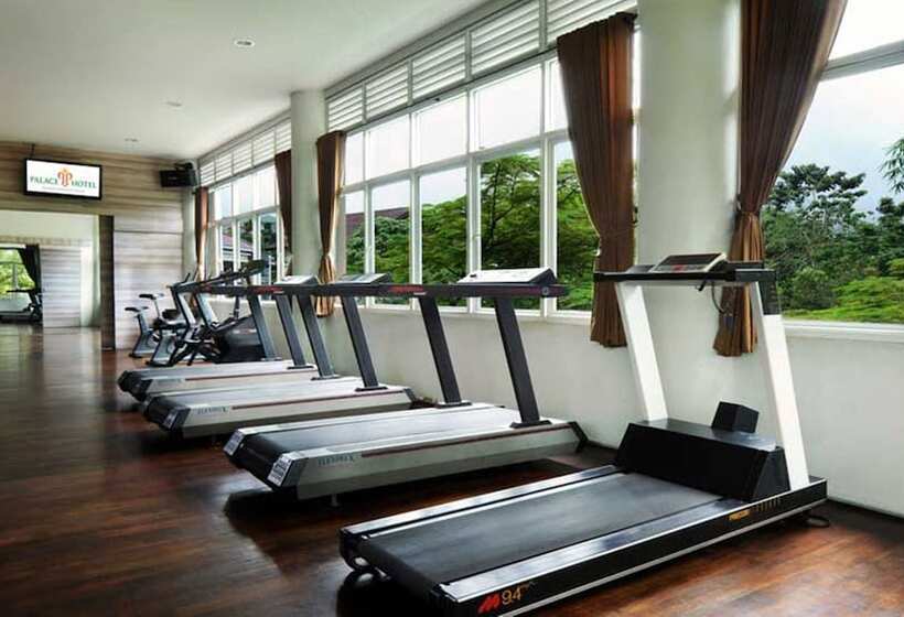 בית מלון כפרי Palace