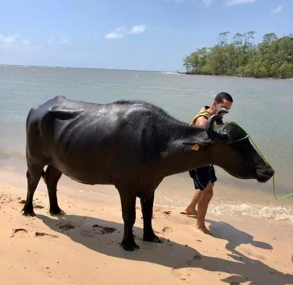 Panzió Pousada O Canto Do Francês
