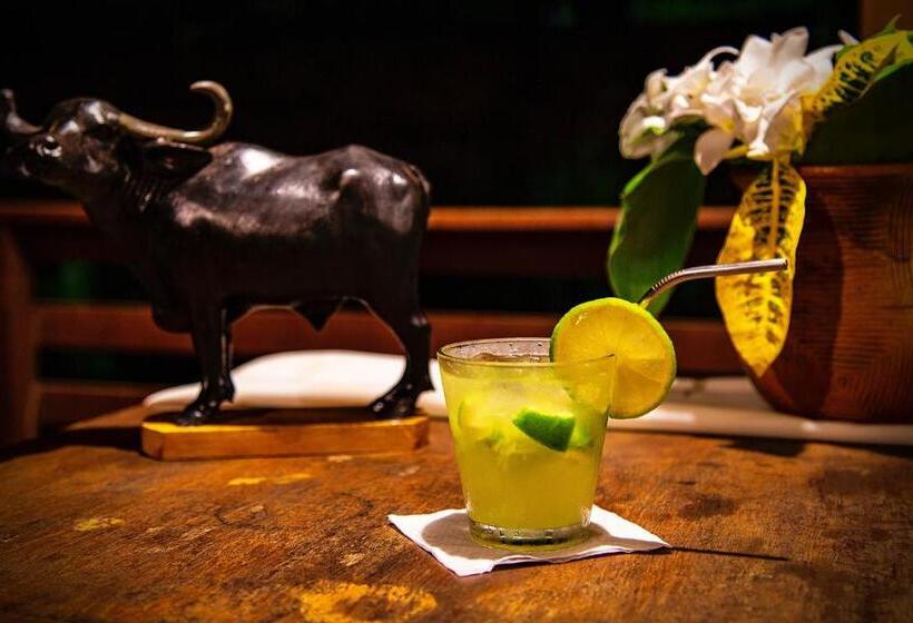 پانسیون Pousada O Canto Do Francês