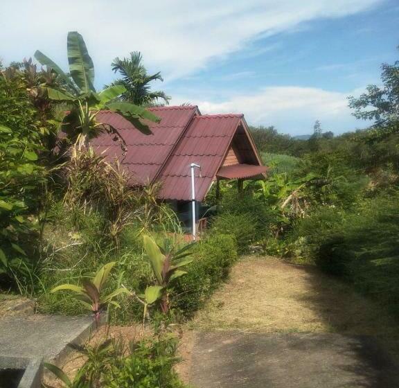 تختخواب و صبحانه Rimlay Hill Top