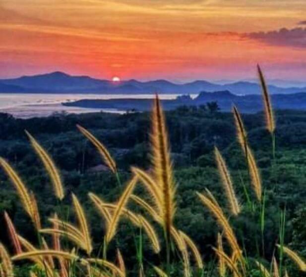 تختخواب و صبحانه Rimlay Hill Top