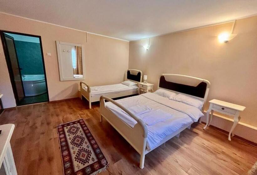 پانسیون Complex Popas Pacurari