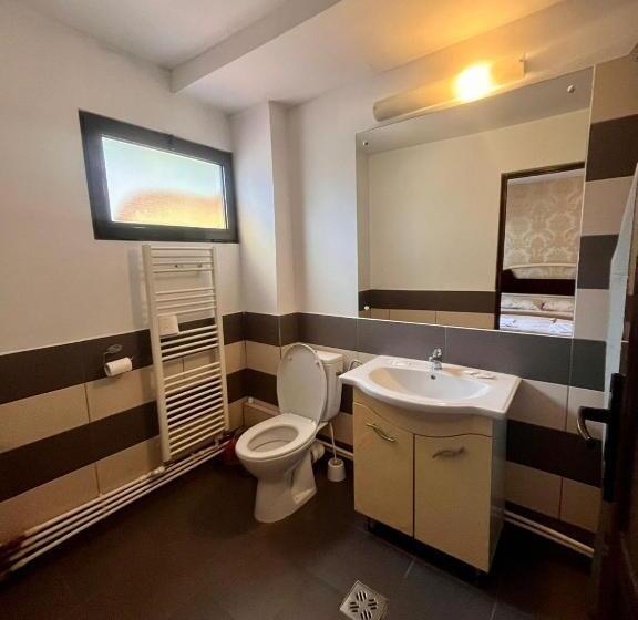 پانسیون Complex Popas Pacurari