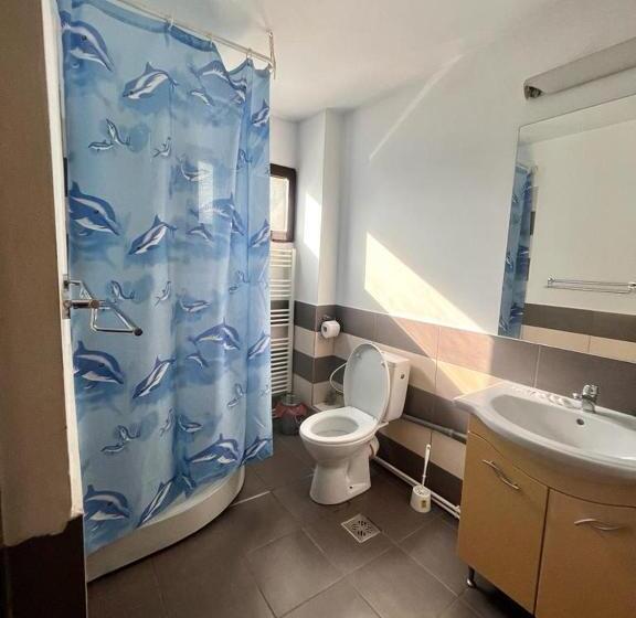 پانسیون Complex Popas Pacurari