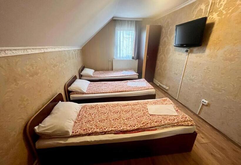 پانسیون Complex Popas Pacurari