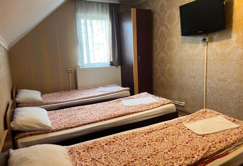 پانسیون Complex Popas Pacurari