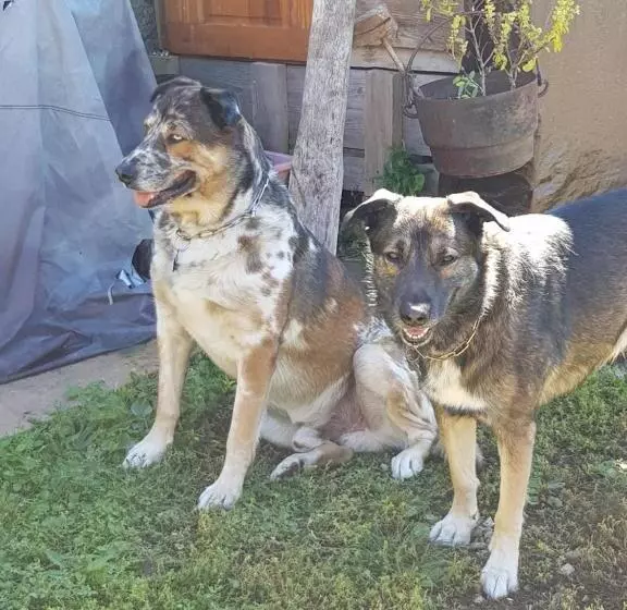 Aamiaismajoitus (B&B) La Cabane, Petite Chambre Agréable Chez L Habitant, Maison Toute En Bois
