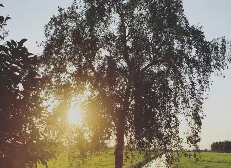 Bed & Breakfast [h]eerlijk!