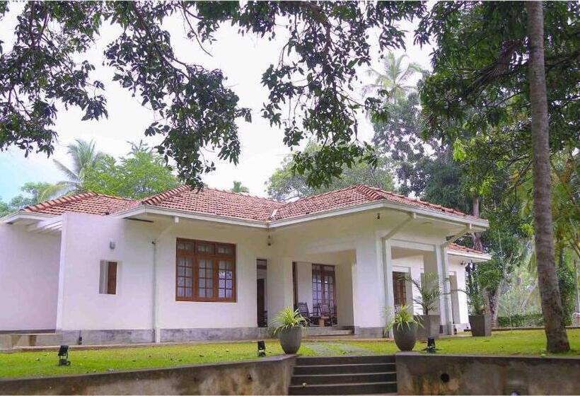 ホテル Raddegoda Walawwa Kurunegala