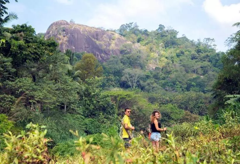 ホテル Raddegoda Walawwa Kurunegala