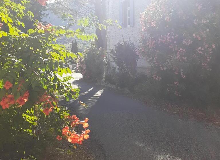 مبيت وإفطار Alma Bella