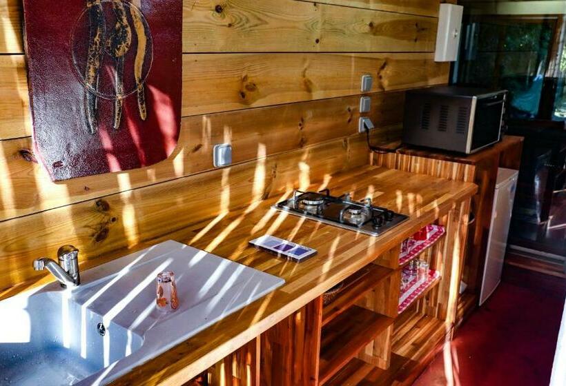 بنسيون Le Tuit Tuit