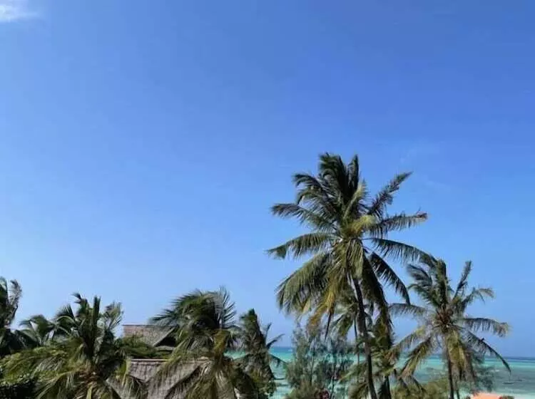 ホテル Mambo Boutique Nungwi