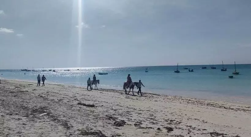 ホテル Mambo Boutique Nungwi