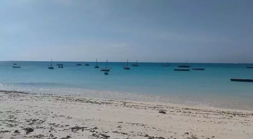 ホテル Mambo Boutique Nungwi