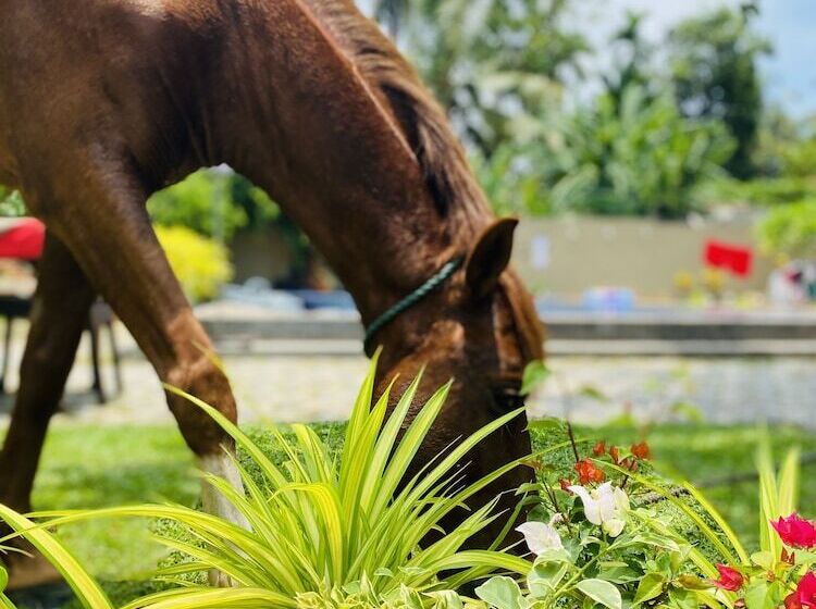 The Kingslayer Resort