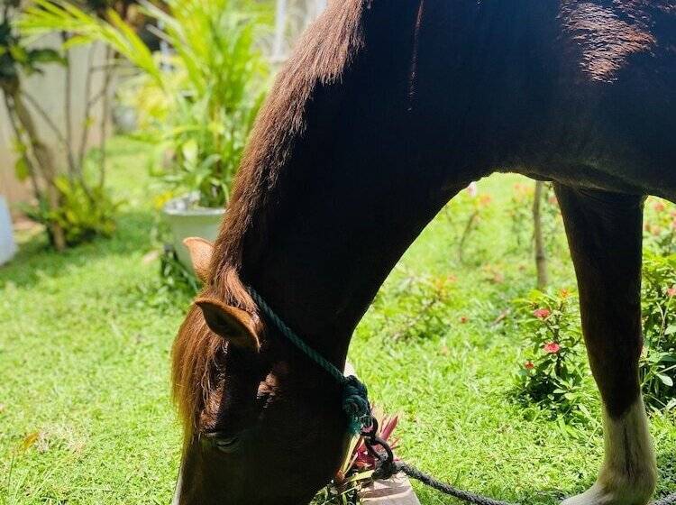 The Kingslayer Resort