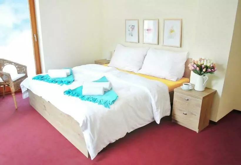 Majatalo Penzion Trnka