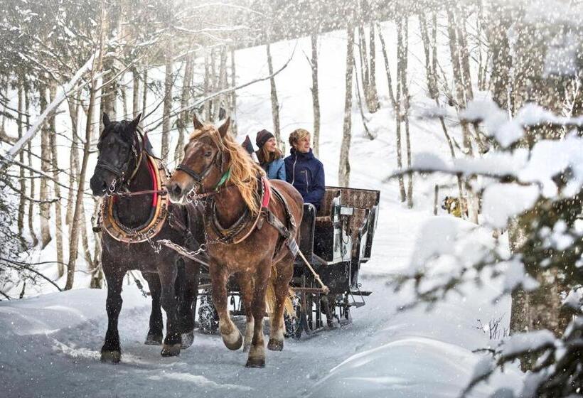 Alpenparks Chalet & Apartment Steve Lodge Viehhofen