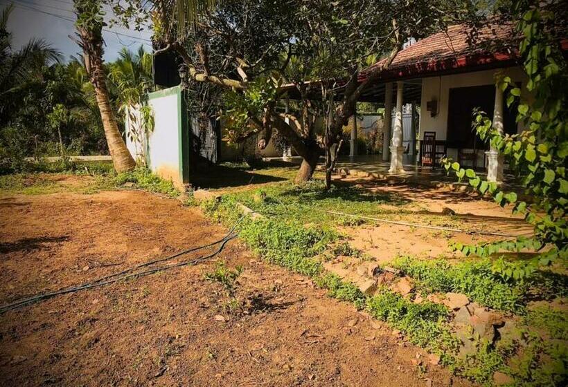 Lucky Hotel Tangalle