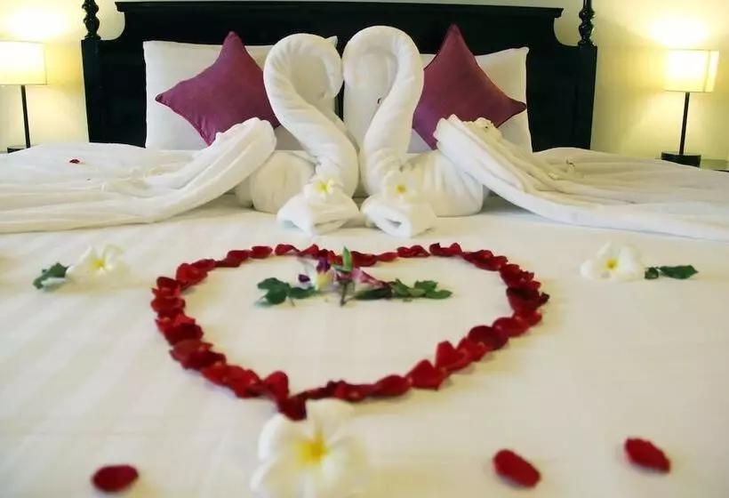 בית מלון כפרי Cozy Boutique