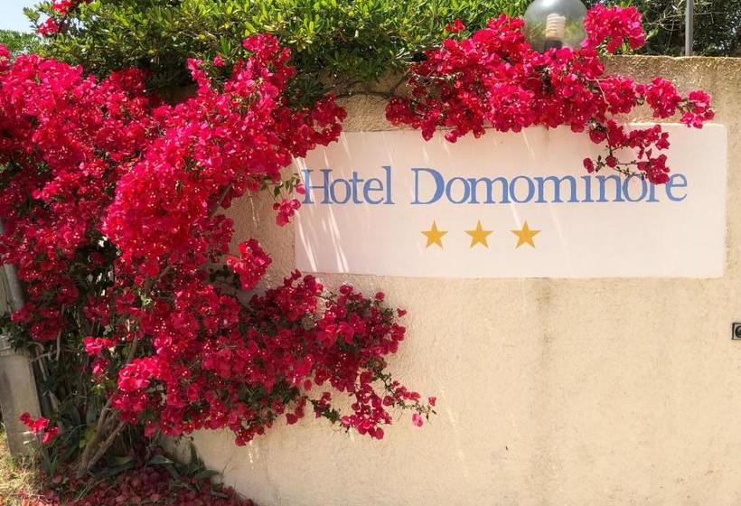 בית מלון כפרי Domominore