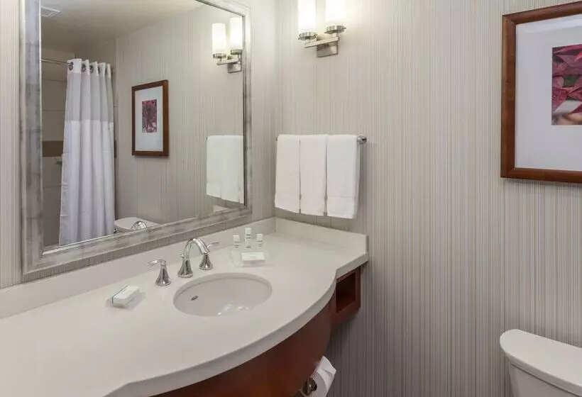 فندق Hilton Garden Inn Alexandria Old Town National Harbor