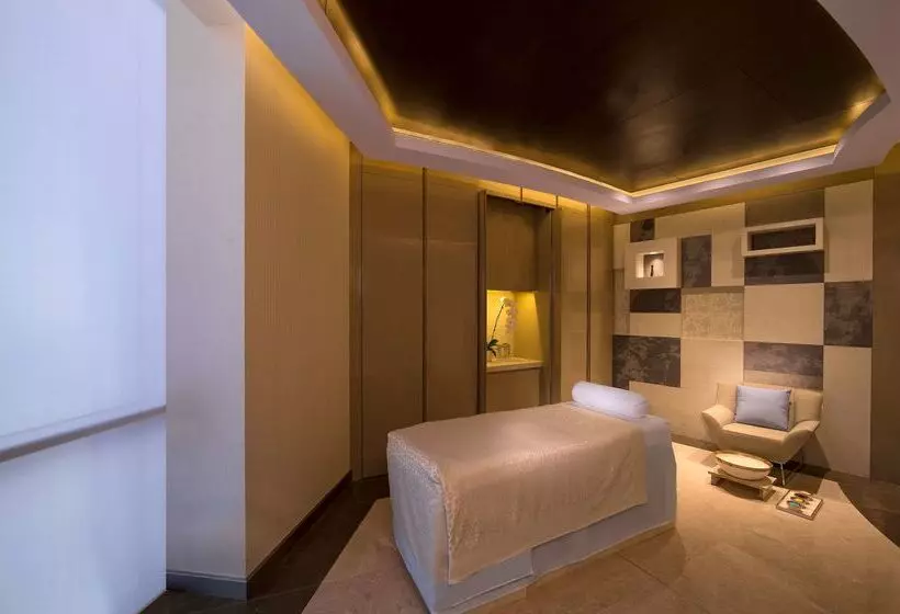 酒店 Hyatt Regency Dubai Creek Heights